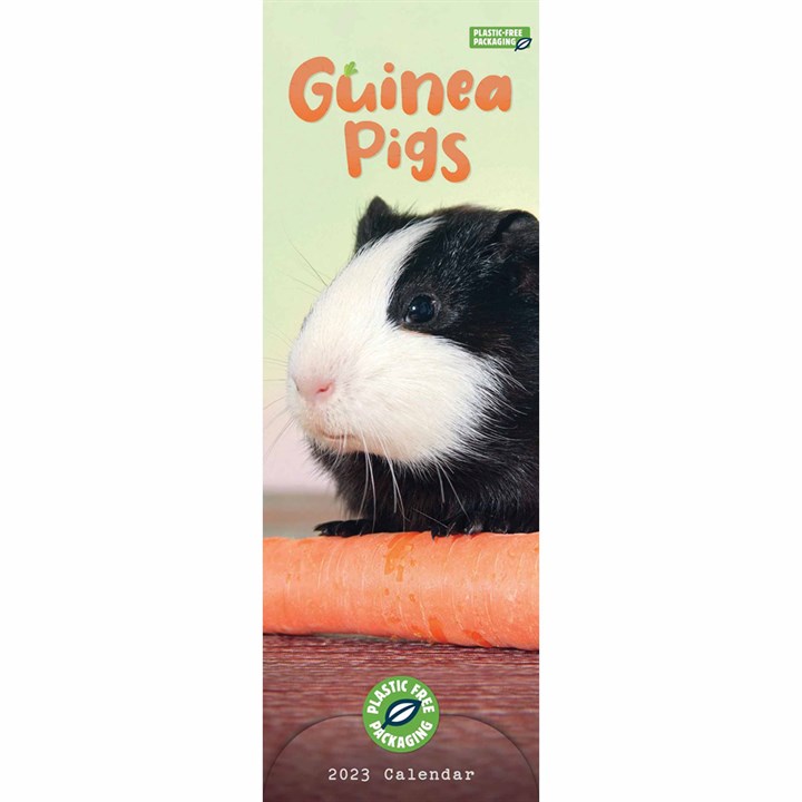 Guinea Pigs Slim 2023 Calendars