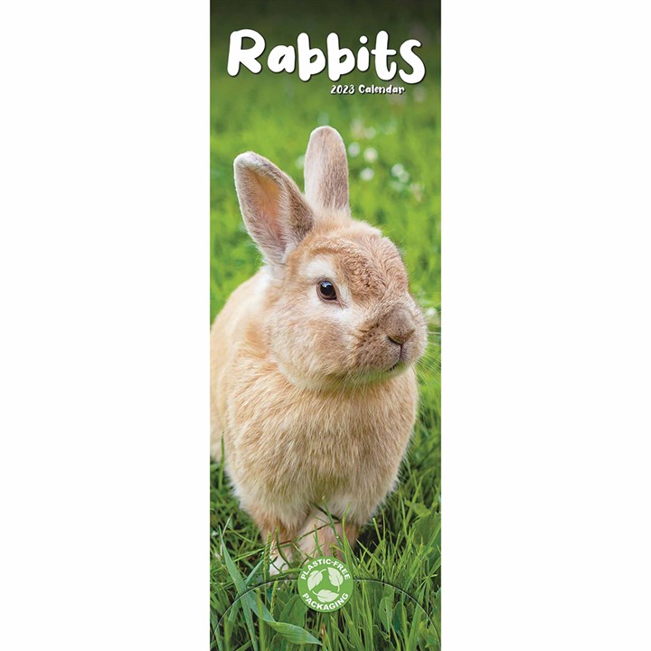 Rabbits Slim 2023 Calendars