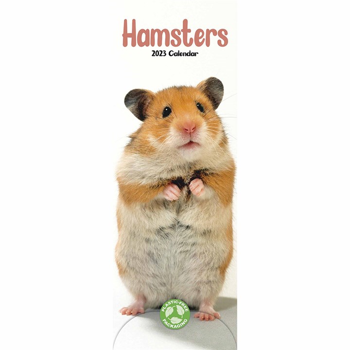 Hamsters Slim 2023 Calendars