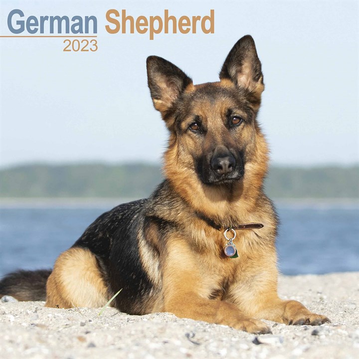 German Shepherd Calendar 2023