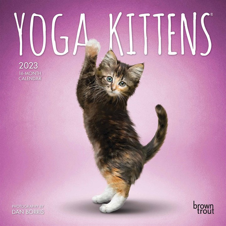 Yoga Kittens Mini Calendar 2023