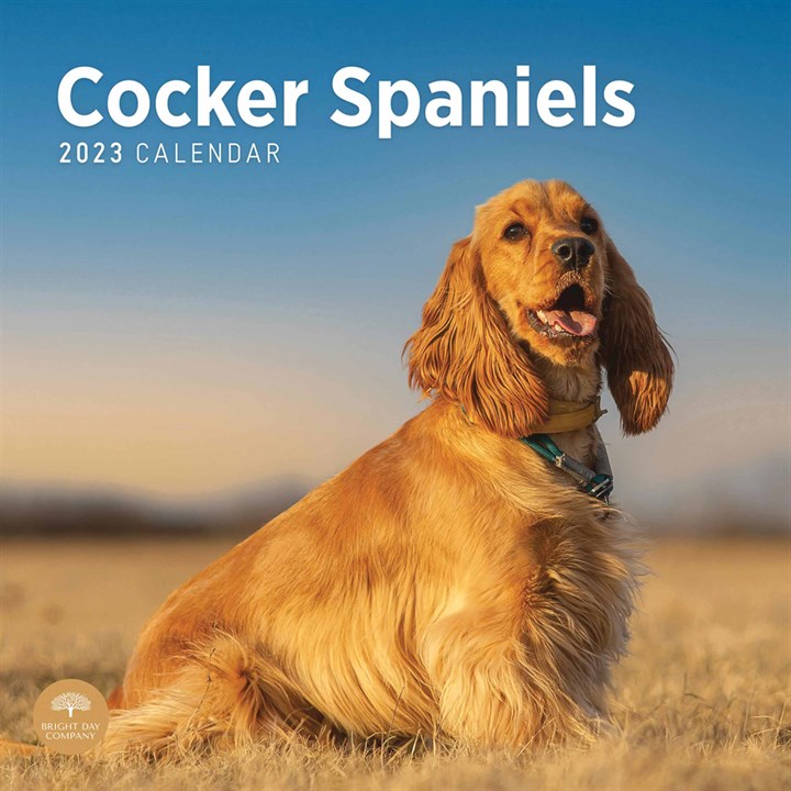 Cocker Spaniels Calendar 2023