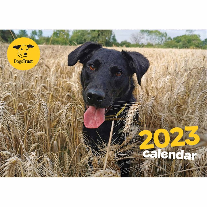 Dogs Trust A4 Calendar 2023