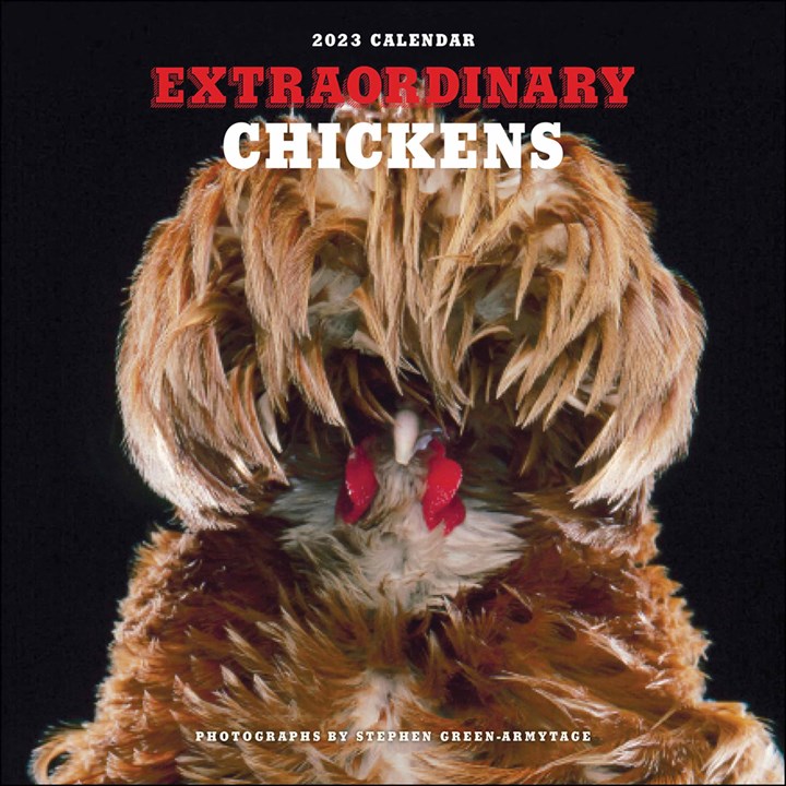 Extraordinary Chickens Calendar 2023