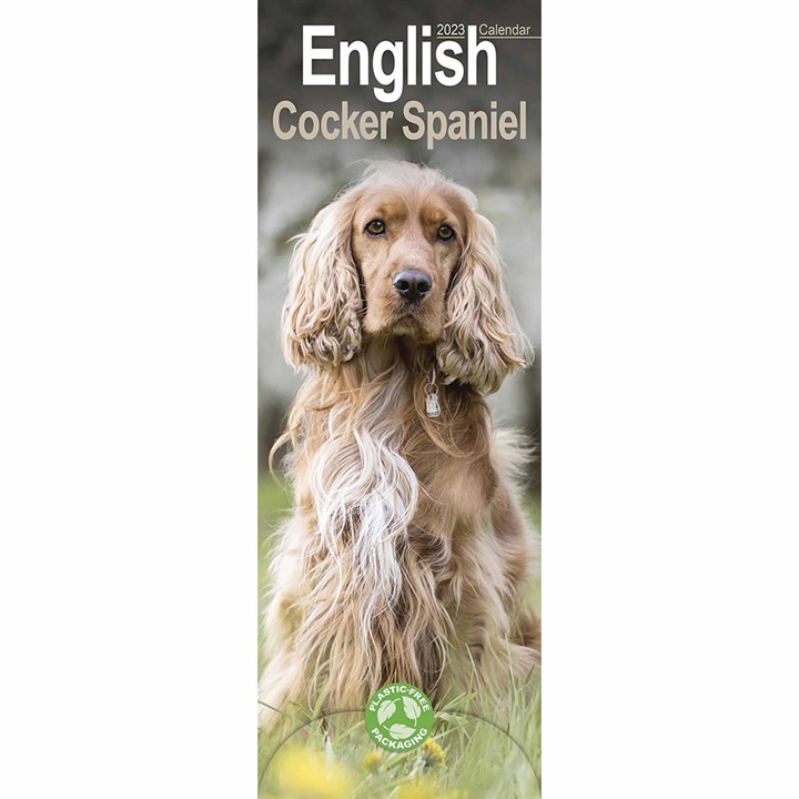 English Cocker Spaniel Slim Calendar 2023