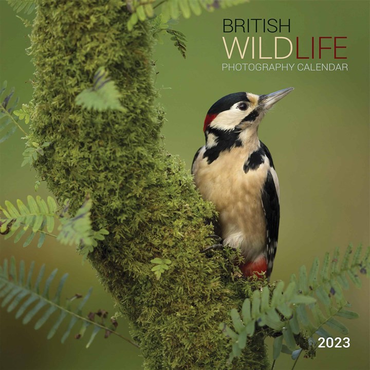 British Wildlife Photography Calendar 2023