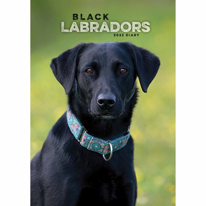 Black Labradors A5 Diary 2023