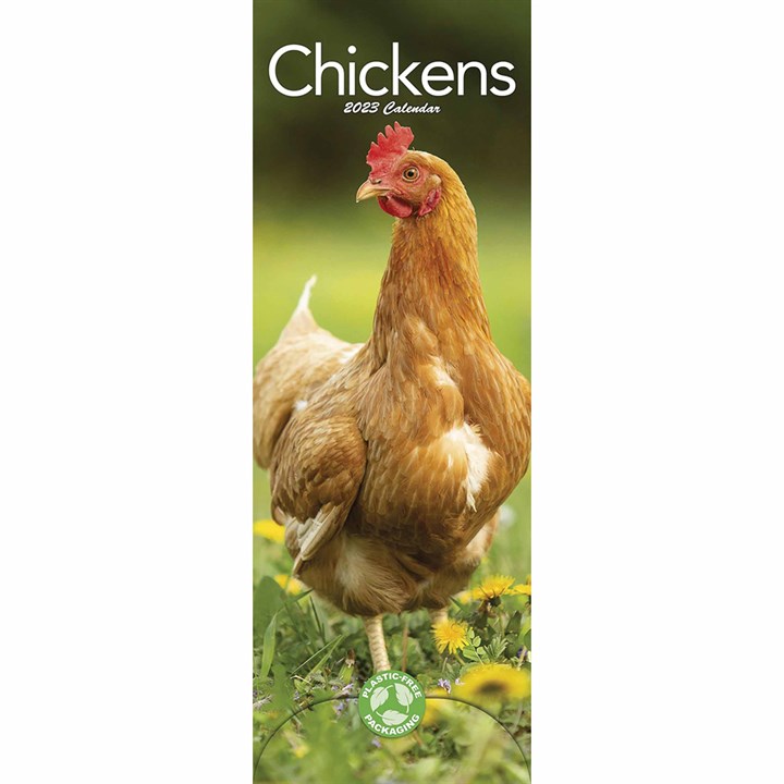 Chickens Slim 2023 Calendars