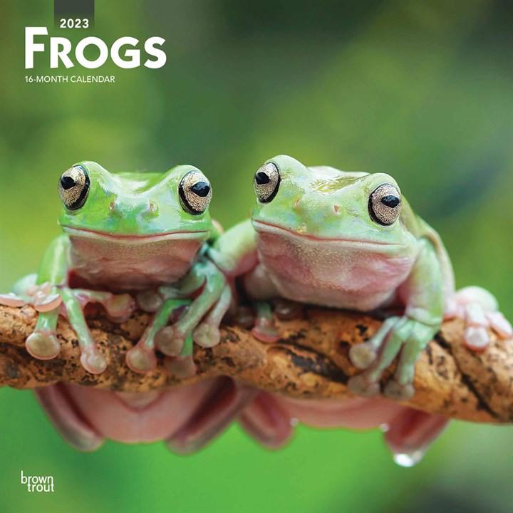 Frogs 2023 Calendars