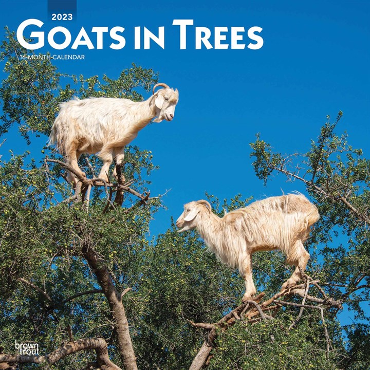 Goats In Trees Calendar 2023