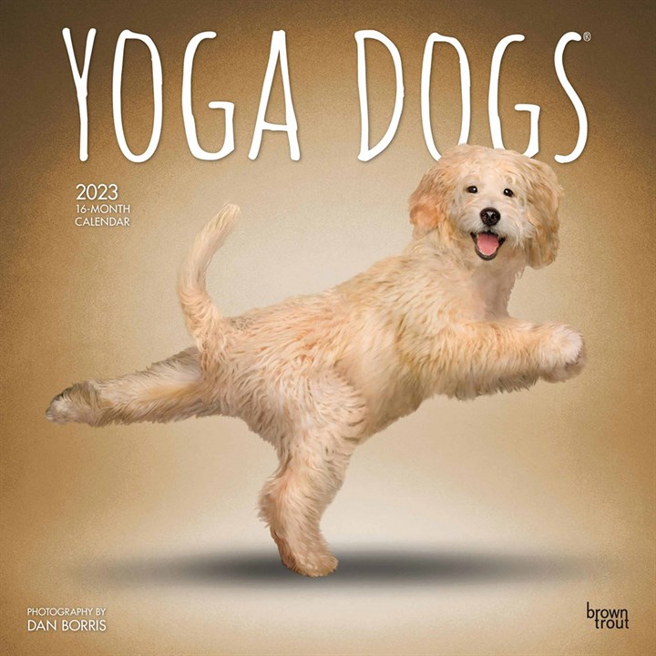 Yoga Dogs Calendar 2023
