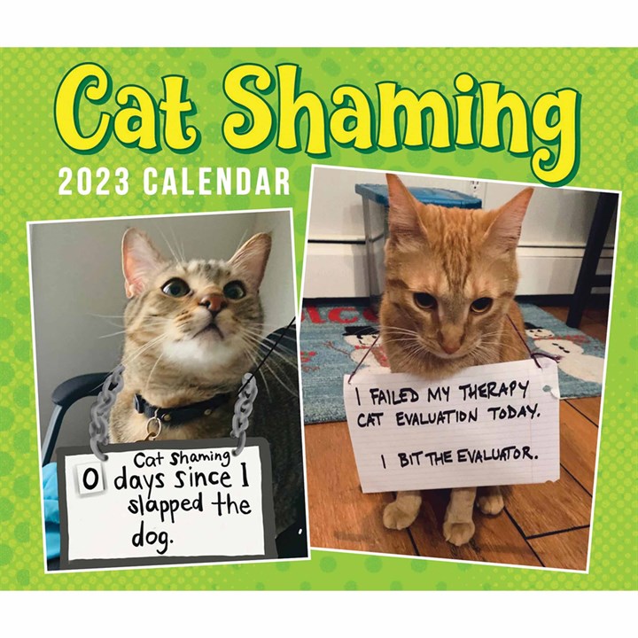 Cat Shaming Desk Calendar 2023