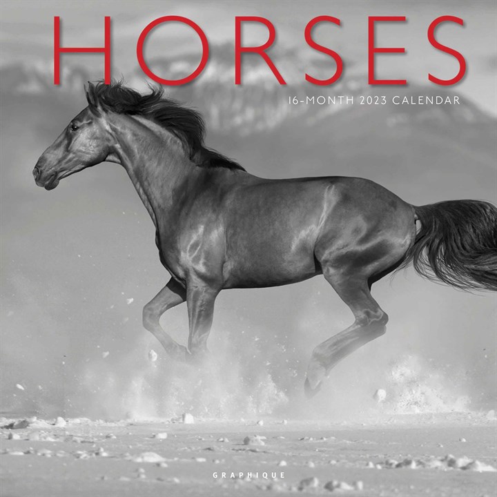 Black & White Horses Calendar 2023