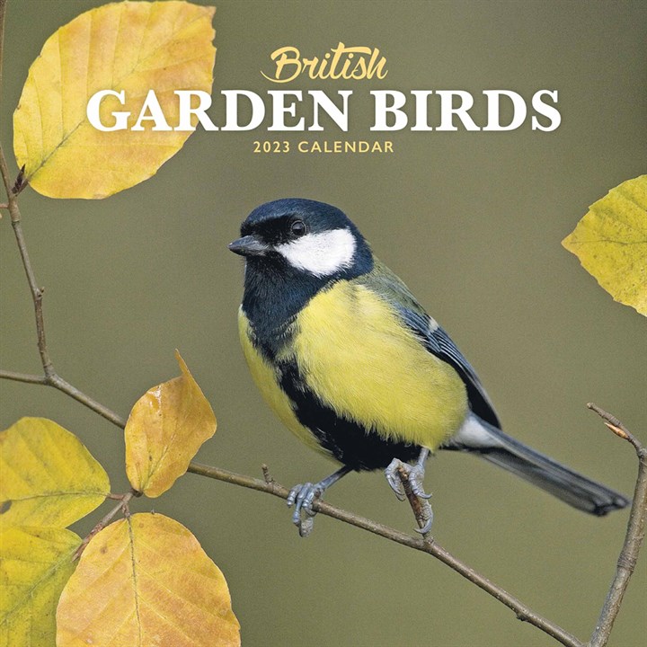 British Garden Birds Mini 2023 Calendars