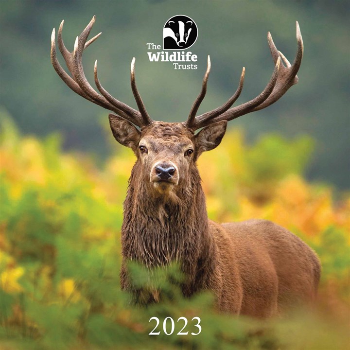 The Wildlife Trusts 2023 Calendars