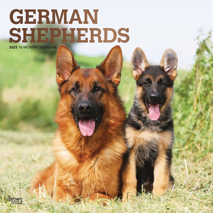 German Shepherds 2023 Calendars