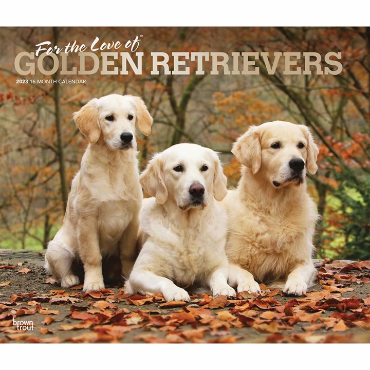 For The Love Of Golden Retrievers Deluxe Calendar 2023