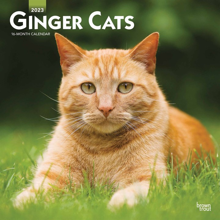 Ginger Cats 2023 Calendars