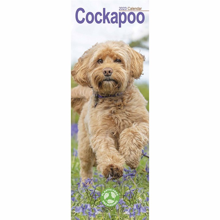 Cockapoo Slim Calendar 2023