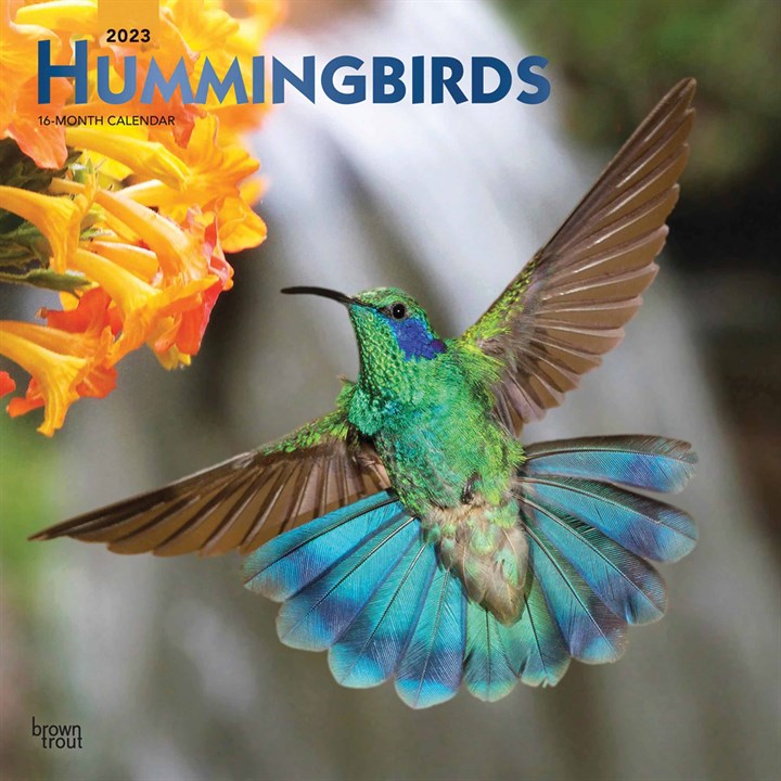 Hummingbirds Calendar 2023