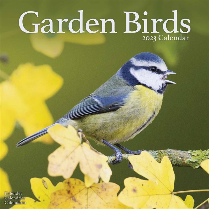 Garden Birds Calendar 2023