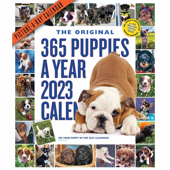 365 Puppies A Year Deluxe 2023 Calendars