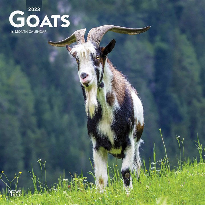 Goats Calendar 2023