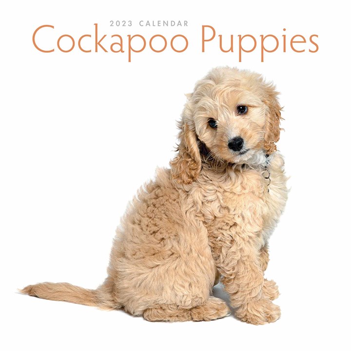 Cockapoo Puppies Mini Calendar 2023