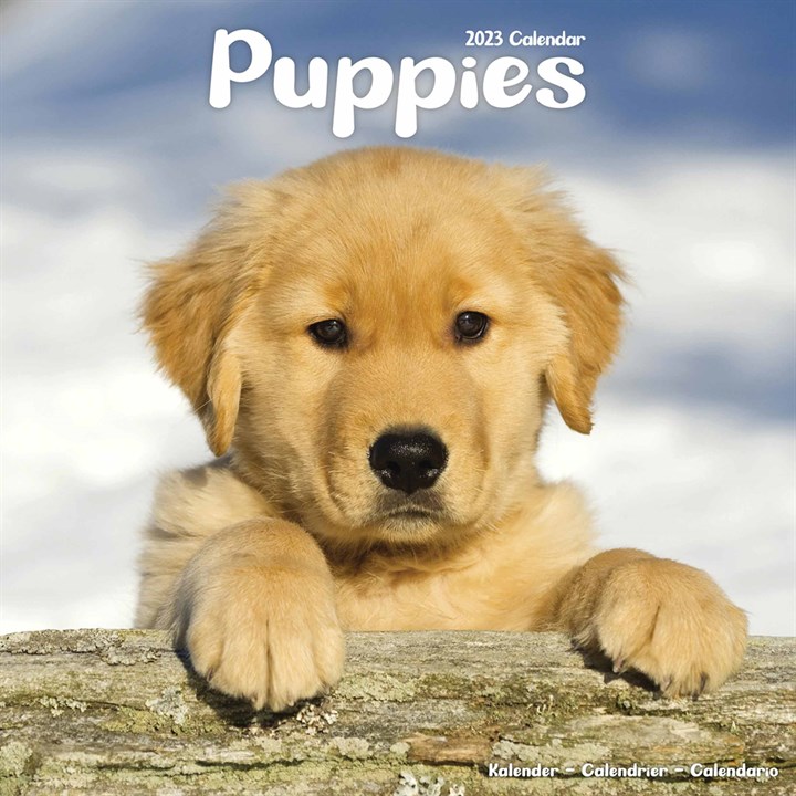 Puppies 2023 Calendars