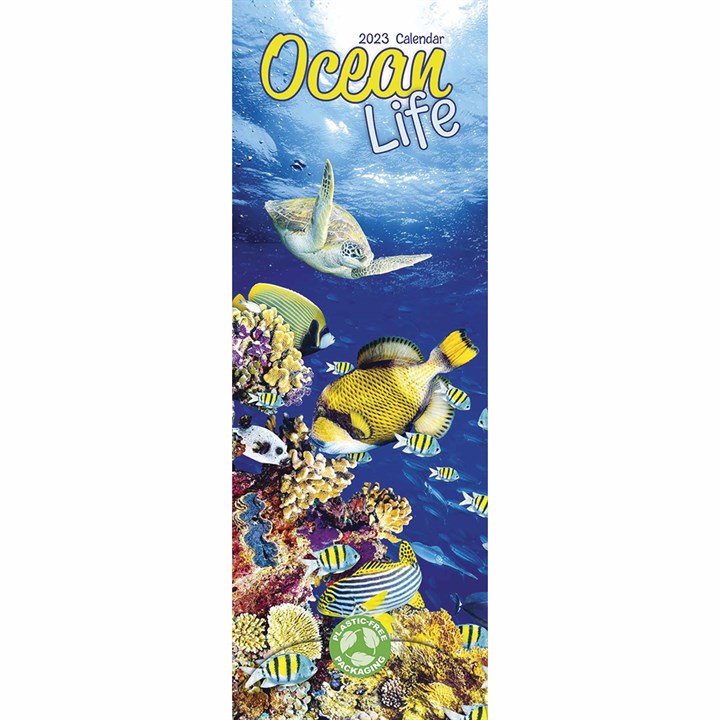 Ocean Life Slim Calendar 2023