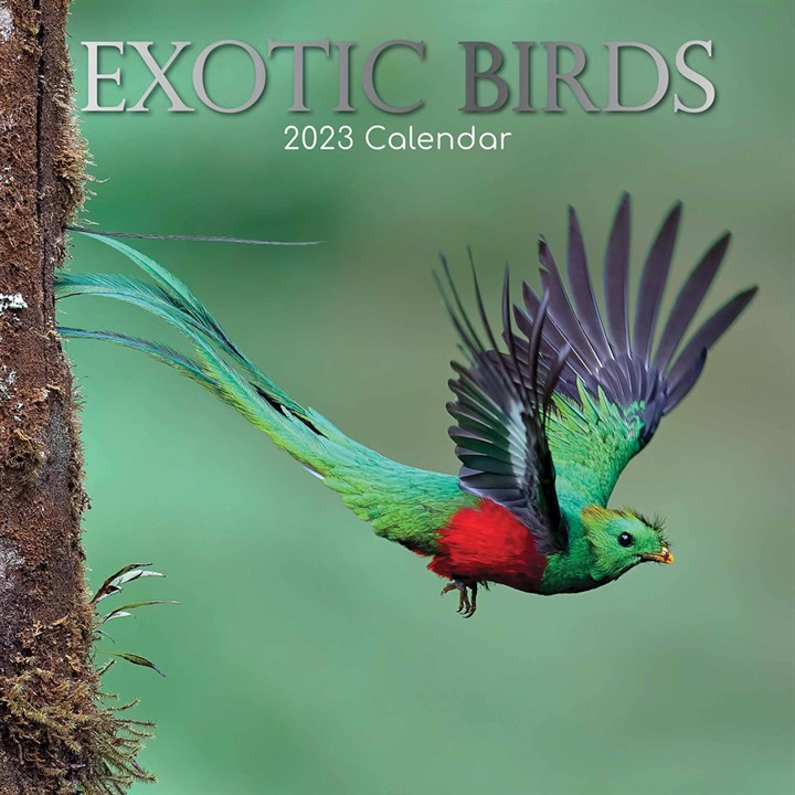 Exotic Birds Calendar 2023