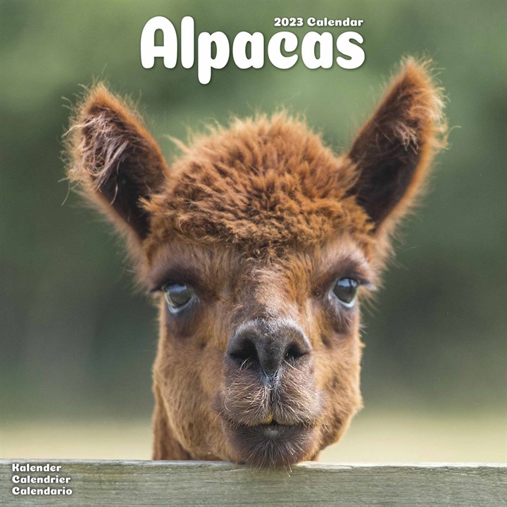 Alpacas 2023 Calendars