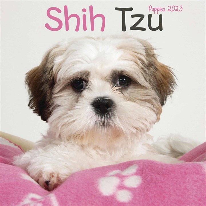 Shih Tzu Puppies Mini Calendar 2023