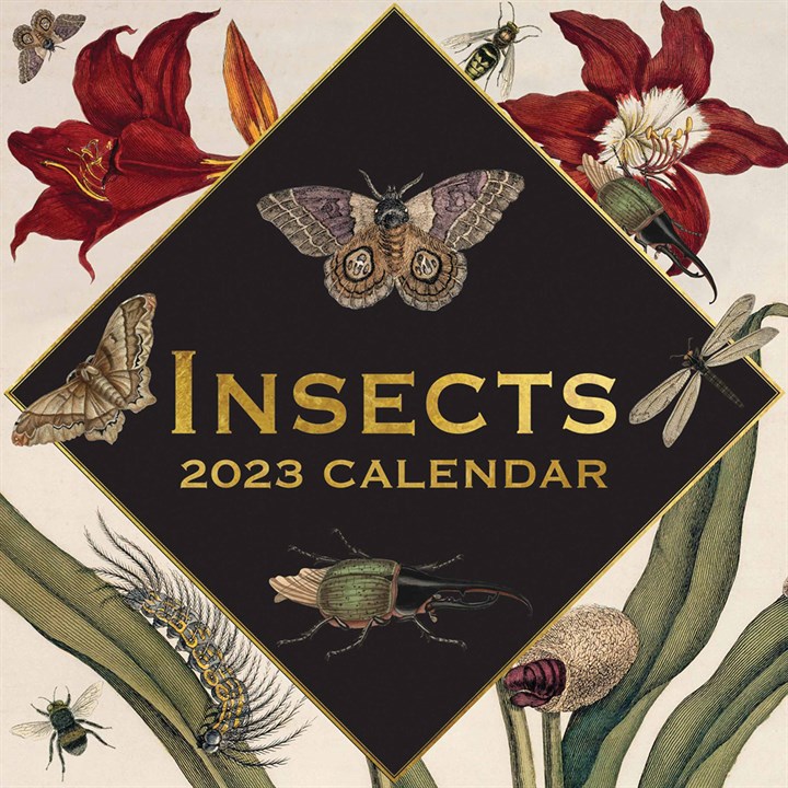 Insects Calendar 2023