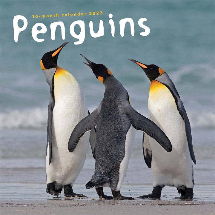 Penguins Calendar 2023