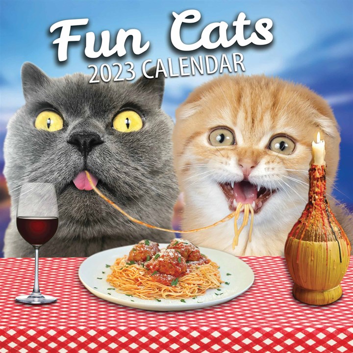 Fun Cats Calendar 2023
