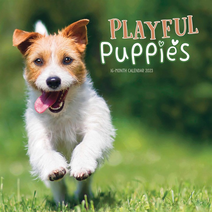 Playful Puppies Calendar 2023