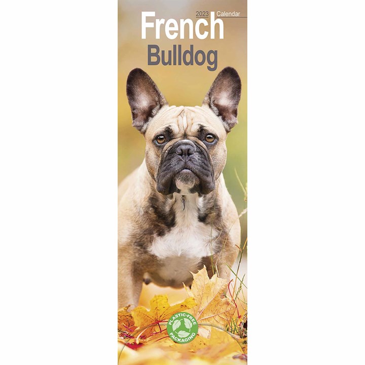 French Bulldog Slim Calendar 2023