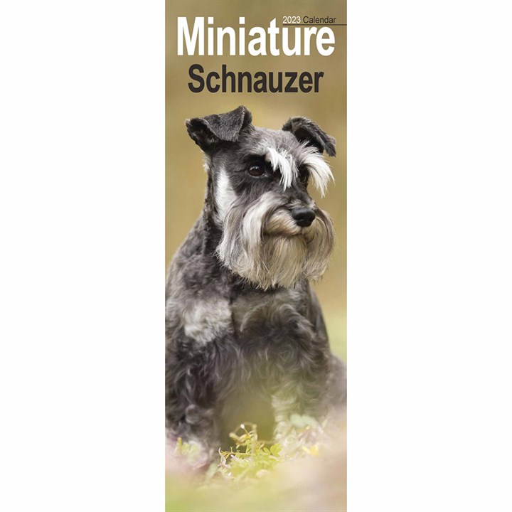 Miniature Schnauzer Slim Calendar 2023