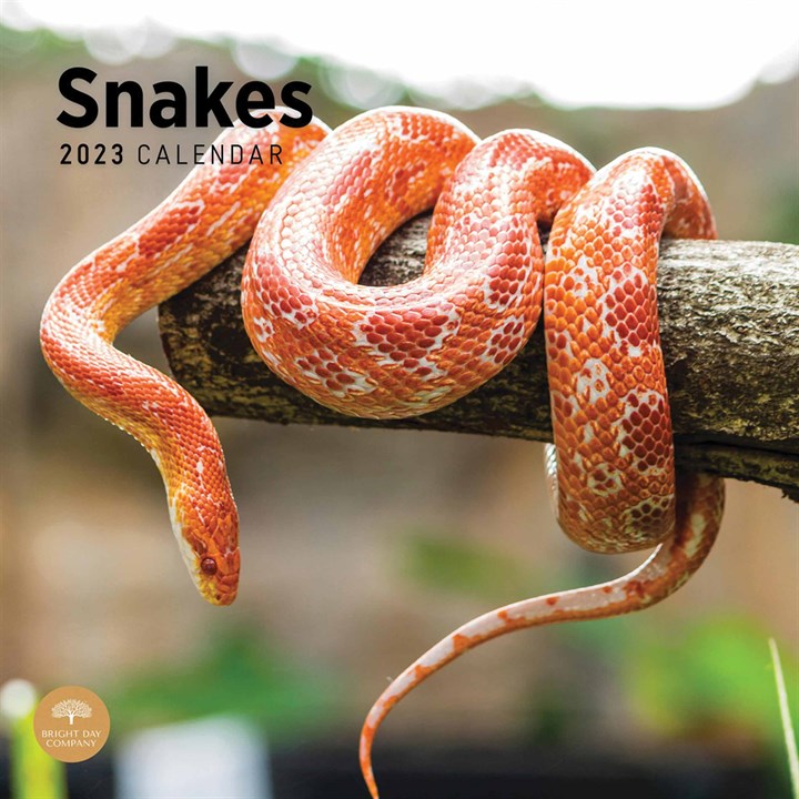 Snakes Calendar 2023