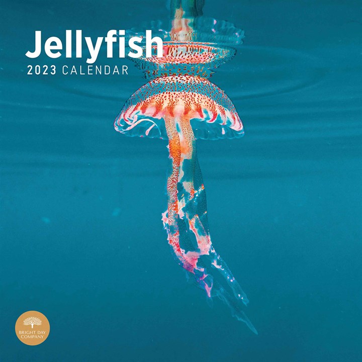 Jellyfish 2023 Calendars