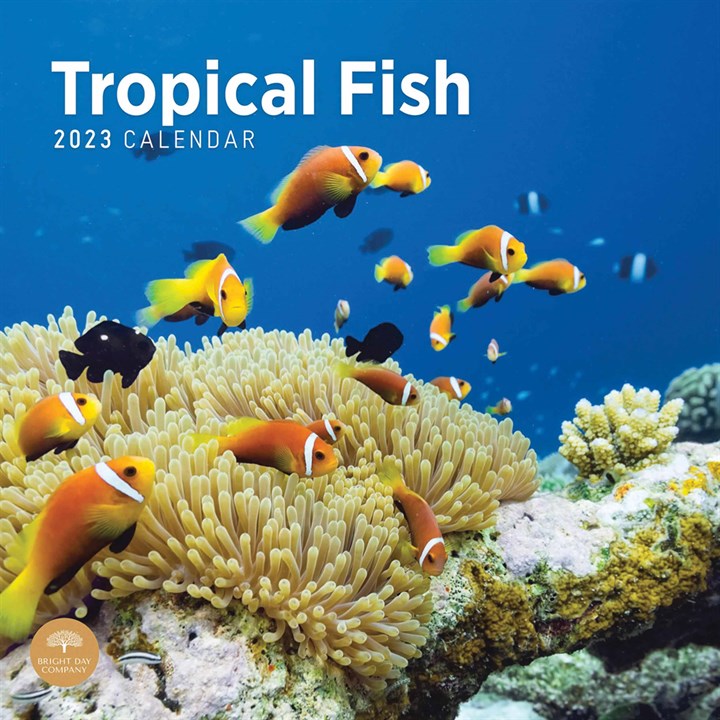 Tropical Fish Calendar 2023
