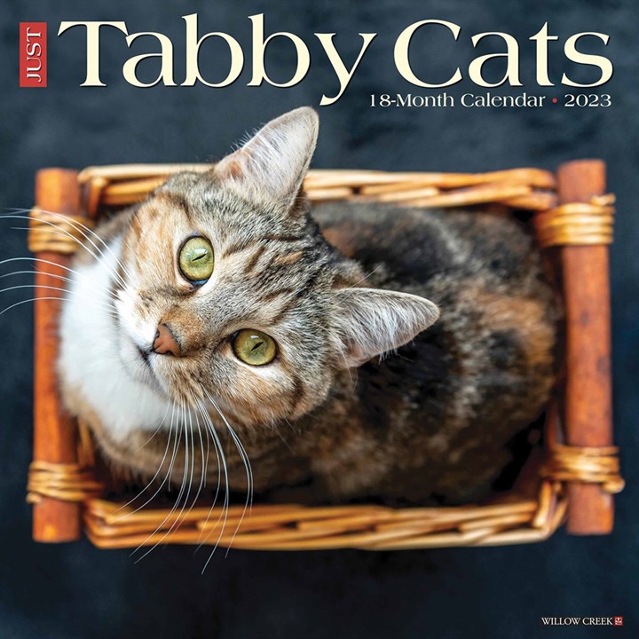 Just Tabby Cats 2023 Calendars