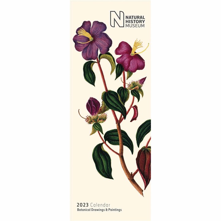 Natural History Museum, Botanical Drawings & Paintings Slim Calendar 2023