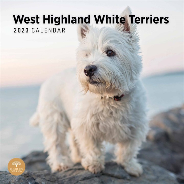 West Highland White Terrier Puppies Calendar 2023