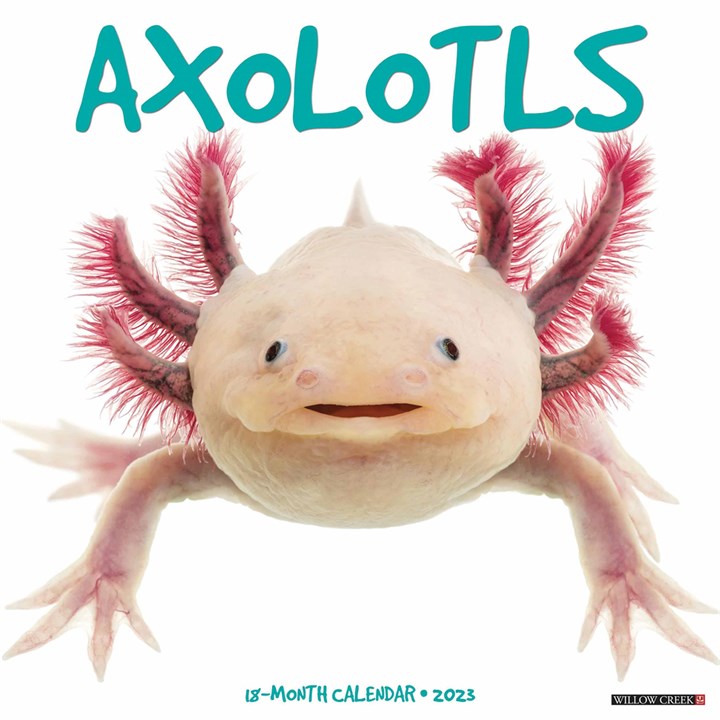 Axolotls Calendar 2023