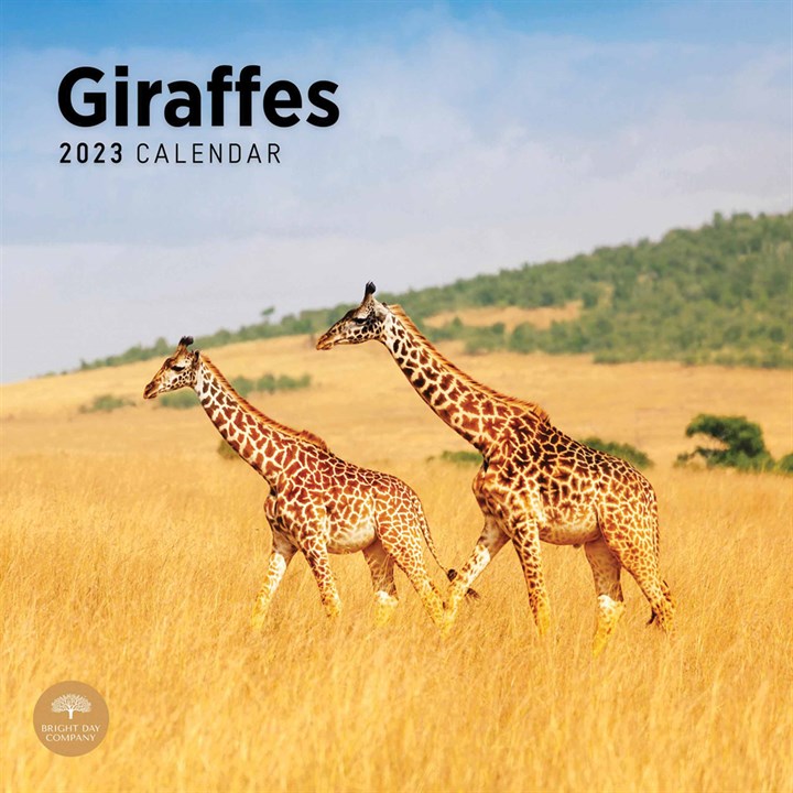 Giraffes Calendar 2023