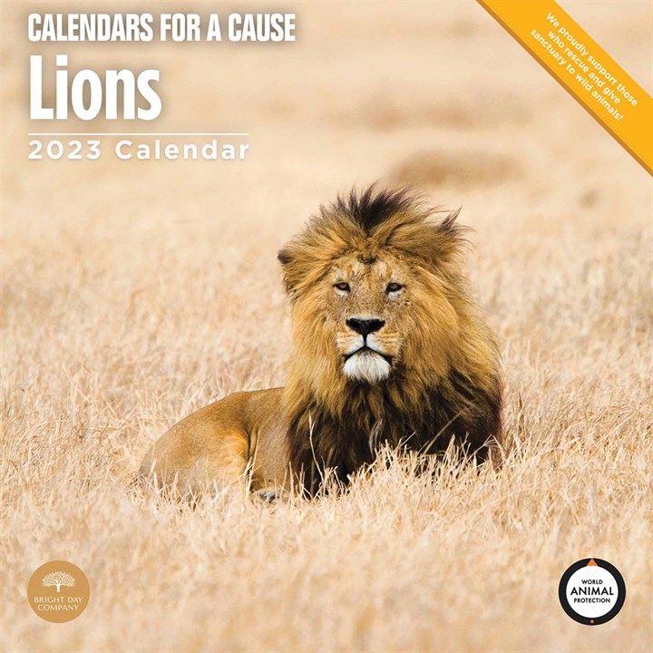 Lions 2023 Calendars