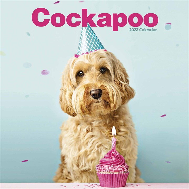 Cockapoo Calendar 2023