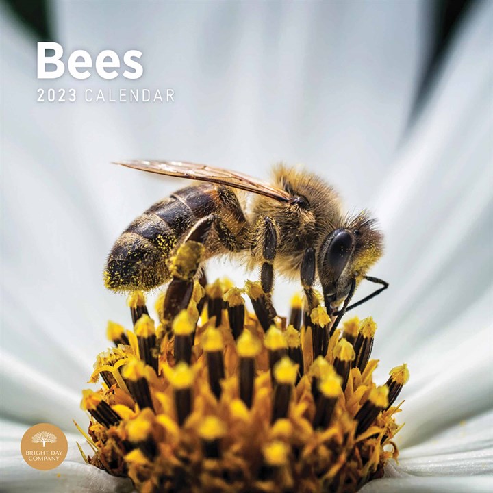 Bees Calendar 2023